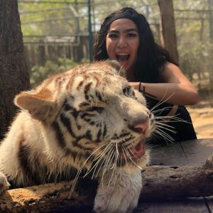 Meet your Posher, Gera